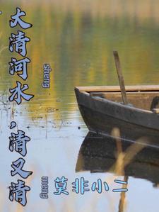 大清河水清又清小说